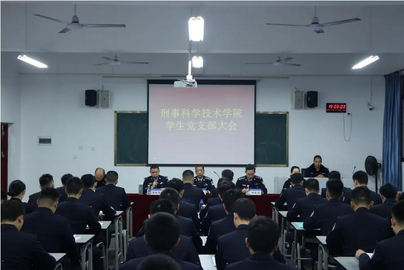 ce4b523a084e44dc85e6453766ea8636.jpg