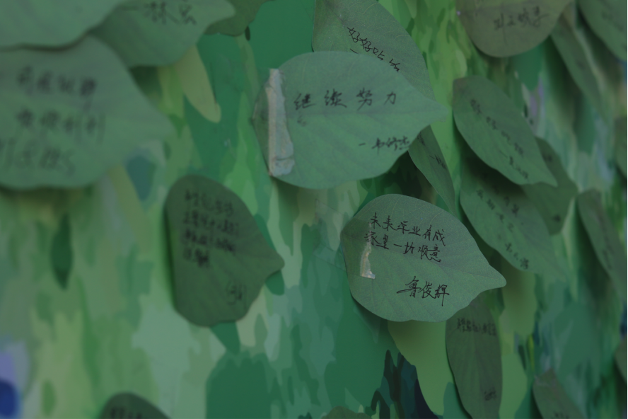 6c87044bad9b424fb24bf5a8ddd417b2.png