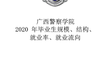 2020 年毕业生规模、结构、就业率、就业流向
